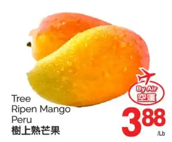 T&T Supermarket TREE RIPEN MANGO offer