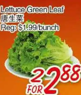 Foody Mart Lettuce Green Leaf offer