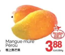 T&T Supermarket MANGUE MÛRE PÉROU offer