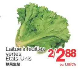 T&T Supermarket LAITUE À FEUILLES VERTES ÉTATS-UNIS offer