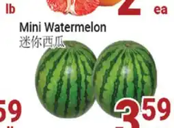 Oceans Fresh Food Market Mini Watermelon offer