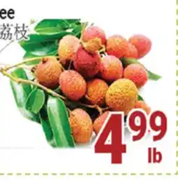 Oceans Fresh Food Market Lychee offer