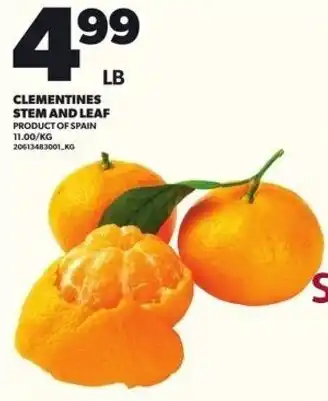 Loblaws Clementines stem and leaf offer