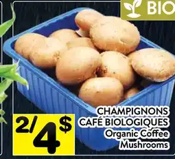 Supermarché PA CHAMPIGNONS CAFÉ BIOLOGIQUES | Organic Coffee Mushrooms offer