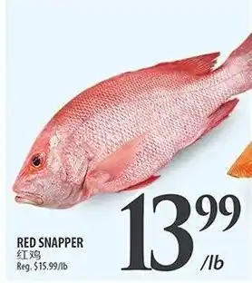 Al Premium Food Mart Red snapper offer