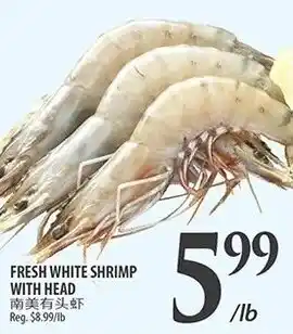 Al Premium Food Mart Fresh white shrimp with head offer