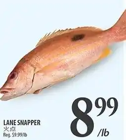 Al Premium Food Mart Lane snapper offer