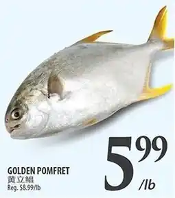 Al Premium Food Mart Golden pomfret offer