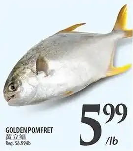 Al Premium Food Mart Golden pomfret offer