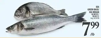 Al Premium Food Mart Sea green bass/ sea bream offer