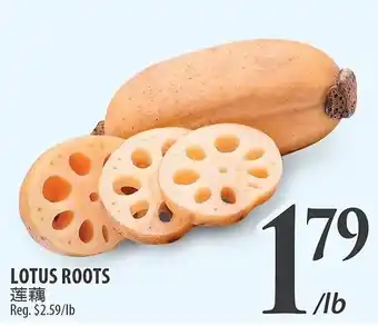 Al Premium Food Mart Lotus roots offer