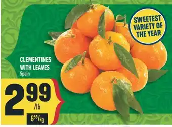 Marché Adonis CLEMENTINES WITH LEAVES offer