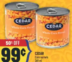 Marché Adonis CEDAR Corn kernels offer