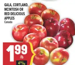 Marché Adonis GALA, CORTLAND, MCINTOSH OR RED DELICIOUS APPLES offer