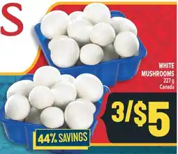 Marché Adonis WHITE MUSHROOMS offer