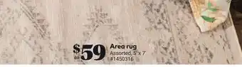 Giant Tiger Area rug offer