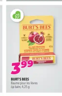 Familiprix BURT'S BEES Lip balm, 4,25 g offer