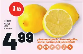 Metro CITRONS MEYER | MEYER LEMONS offer