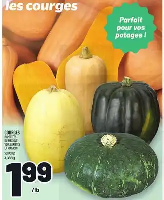 Metro COURGES | SQUASHES offer