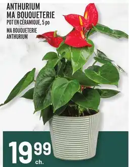 Metro ANTHURIUM MA BOUQUETERIE | MA BOUQUETERIE ANTHURIUM offer