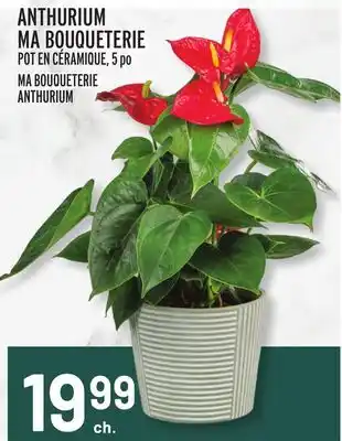 Metro ANTHURIUM MA BOUQUETERIE | MA BOUQUETERIE ANTHURIUM offer