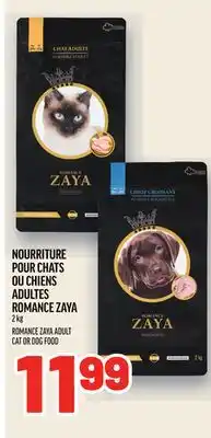 Metro NOURRITURE POUR CHATS OU CHIENS ADULTES ROMANCE ZAYA | ROMANCE ZAYA ADULT CAT OR DOG FOOD offer