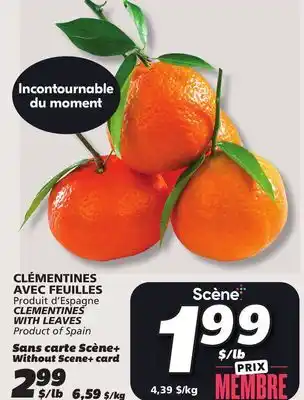 IGA CLEMENTINES WITH LEAVES offer