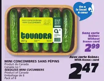 IGA SEEDLESS MINI CUCUMBERS offer