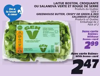 IGA GEN V GREENHOUSE BUTTER, CRISPY OR GREEN & RED SALANOVA LETTUCE offer