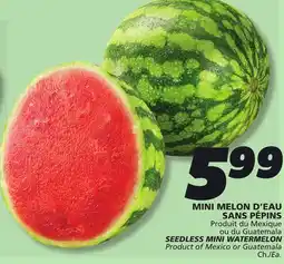 IGA SEEDLESS MINI WATERMELON offer