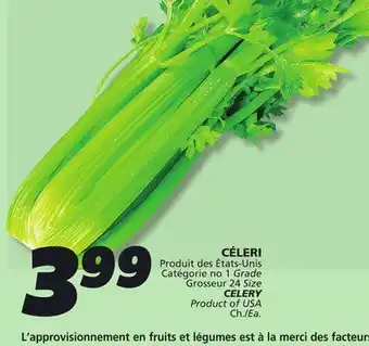 IGA CELERY offer