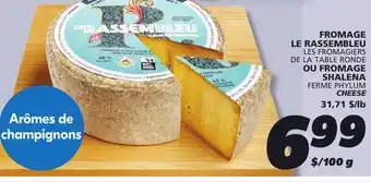 IGA FERME PHYLUM CHEESE offer