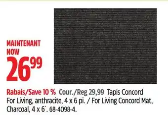 Canadian Tire For Living Concord Mat, Charcoal, 4 x 6' offer