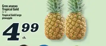 Marché Richelieu GROS ANANAS TROPICAL GOLD | TROPICAL GOLD LARGE PINEAPPLE offer