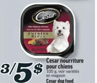 Marché Richelieu CESAR NOURRITURE POUR CHIENS | CESAR DOG FOOD offer