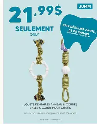 Chico JUMP! JOUETS DENTAIRES ANNEAU & CORDE | BALLE & CORDE POUR CHIENS offer