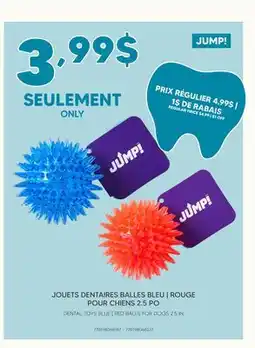 Chico JOUETS DENTAIRES BALLES BLEU | ROUGE POUR CHIENS 2.5 PO offer