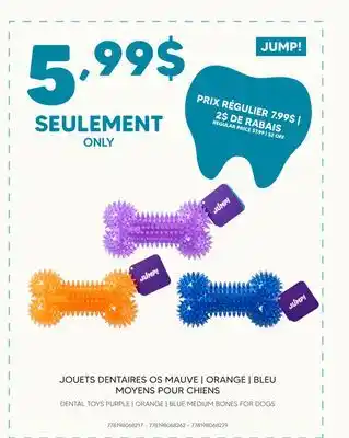 Chico JOUETS DENTAIRES OS MAUVE | ORANGE | BLEU MOYENS POUR CHIENS offer