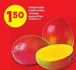 Maxi MANGUE ROUGE | red mango offer