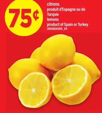 Maxi CITRONS | lemons offer