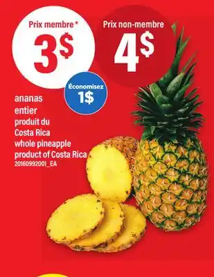 Maxi ANANAS ENTIER | whole pineapple offer