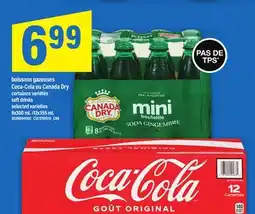 Maxi BOISSONS GAZEUSES COCA-COLA OU CANADA DRY | soft drinks, 8x300 mL /12x355 mL offer