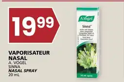 Rachelle-Bery Grocery A. VOGEL SINNA NASAL SPRAY offer