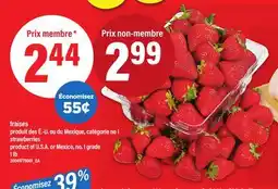 Maxi FRAISES offer