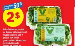 Maxi LAITUE BOSTON, OU DUOS DE LAITUES VERTES ET ROUGES SALANOVA GEN V | GREEN AND RED LETTUCE DUOS offer