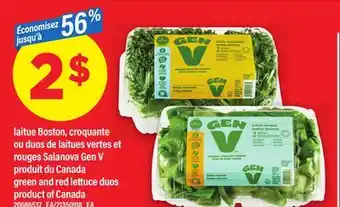 Maxi LAITUE BOSTON, OU DUOS DE LAITUES VERTES ET ROUGES SALANOVA GEN V | GREEN AND RED LETTUCE DUOS offer