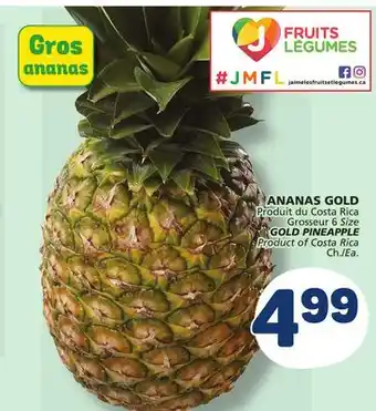 Marché Bonichoix GOLD PINEAPPLE offer