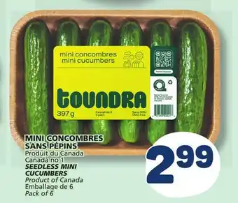 Marché Bonichoix SEEDLESS MINI CUCUMBERS offer