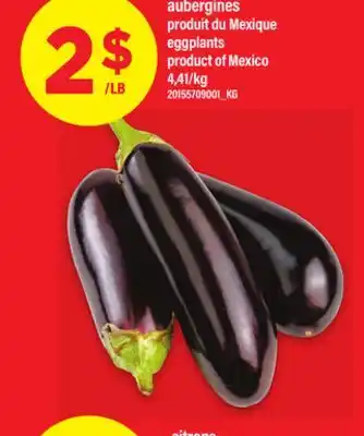 Maxi AUBERGINES | eggplants offer