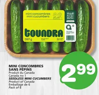 Marches Tradition SEEDLESS MINI CUCUMBERS offer